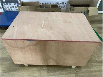 درع مكافحة الشغب المقاوم للرصاص